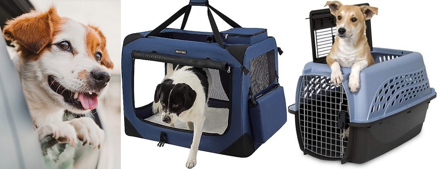 Top 10 Sacs de Transport pour Chien : Avion, Voiture & Haut de