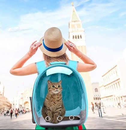 Sac a dos pour chat : Top 10 meilleurs pour des déplacements en toute sécurité et confort