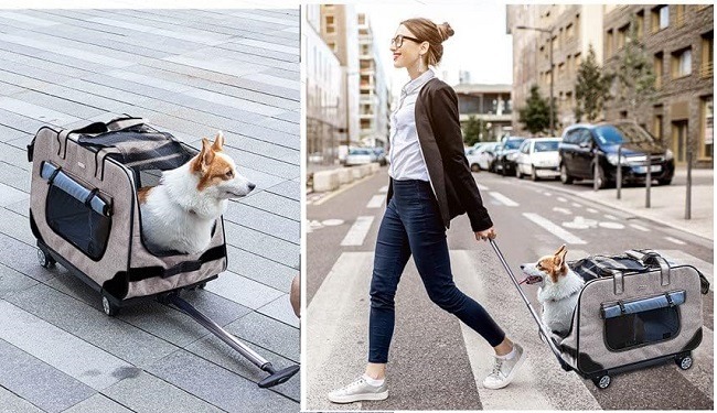 Top 10 Sacs de Transport pour Chien : Avion, Voiture & Haut de