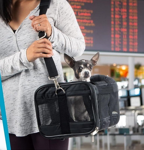 Sac de Transport pour Chien Haut de Gamme